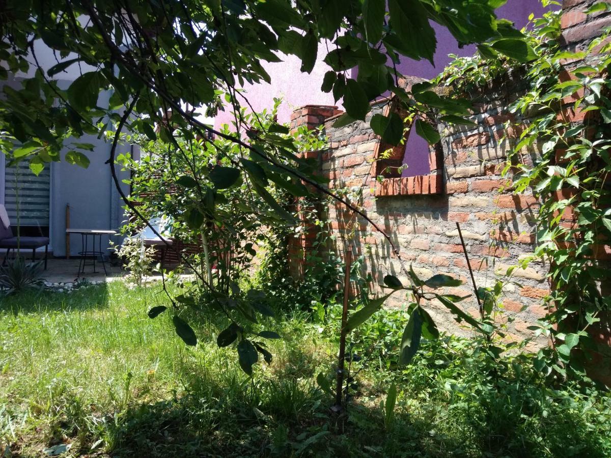 Garmani Daire Vrnjačka Banja Dış mekan fotoğraf